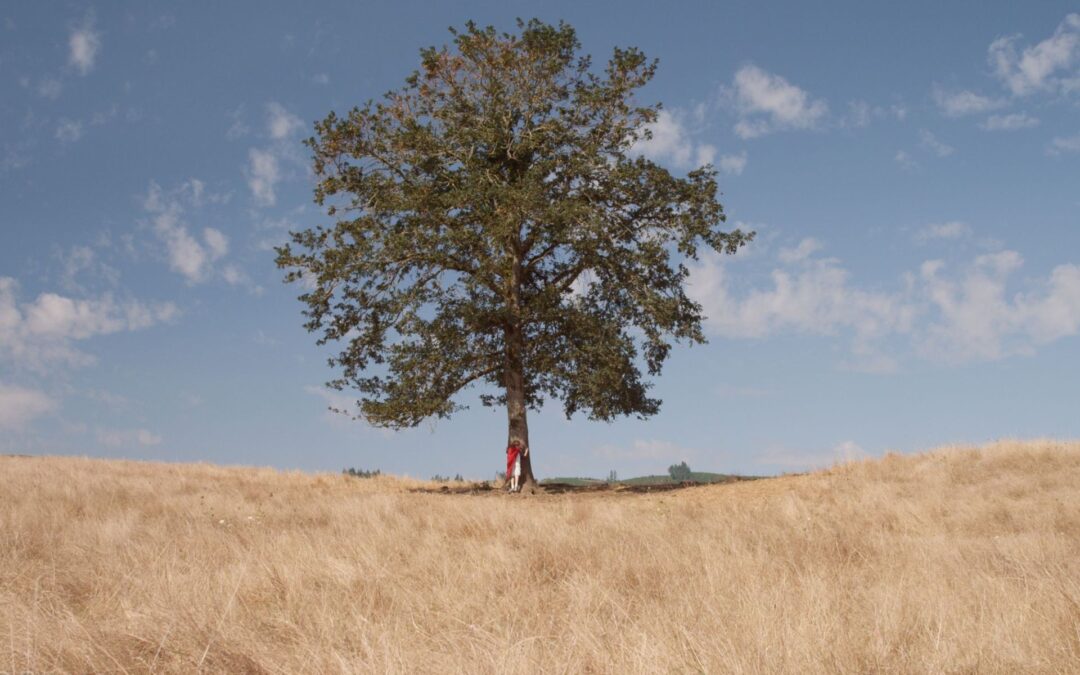 Sample Blog Post One